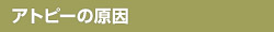 Ags[̌