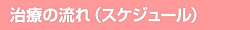 治療の流れ(スケジュール)